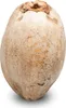 Bräunliches, unversehrtes dekoratives Naturprodukt, ca. Produktbild-Vorschau 1