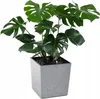 Doniczka JUKA ECO recycled 300 - szary beton LA553-70 Podgląd zdjęcia produktu 12
