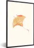 MuchoWow® MuchoWow® Gerahmtes Poster Rochen - Fisch - Meer Produktbild-Vorschau 1