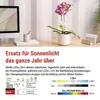 Pflanzenlampe LED Vollspektrum, 39 LEDs, für Innenräume, mit Zeitschaltuhr, dimmbar Anteprima dell’immagine prodotto
