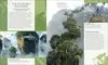 Elzusha- Avatar Boek - Visuele Verkenning - Wereld van Productafbeelding-voorbeeld 4