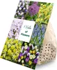 Mischung aus 100 - 6 Monate alten Blumen - Farbmischung - Produktbild-Vorschau 1