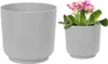 Platin Kunststoffhülle matt für Blumen Satina 15x14,9 cm Produktbild-Vorschau 1