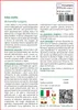 SAFLAX  - Erba stella - 100 semi - Alchemilla Anteprima dell’immagine prodotto 3