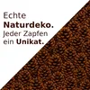 Tannenzapfen, Größe ca. 5-6cm, 1kg, ca. 50 Stk. | Pinus Produktbild-Vorschau 6