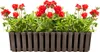 Prosperplast Balkonpflanzenhalter BOARDEE FENCE Braun 58 cm Produktbild-Vorschau 19