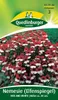 Quedlinburger Saatgut - Nemesie (Elfenspiegel) Red and Produktbild-Vorschau 3