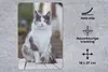MuchoWow® Mauspad Mousepad Katze - Porträt - Tisch - Produktbild-Vorschau 2