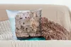 MuchoWow® Zierkissen Sofakissen Wohnzimmer Dekokissen 60x60 Produktbild-Vorschau 4