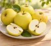 Apfelbaum Golden Delicious 100–120 cm – Malus domestica mit Produktbild-Vorschau 3