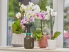 Gardena Tlakový Postřikovač 075 L 11110-20 Náhled obrázku produktu 11