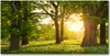 Tulup® Glas-Bild - 100x50 -Wandkunst - Wandbild hinter Produktbild-Vorschau 1