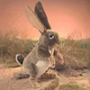 Folkmanis Handpuppe Feldhase / Jack Rabbit  3200 Hase Produktbild-Vorschau 2