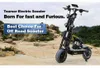 Trottinette électrique - X13 - Double moteur 2x4000 W - Voir les images du produit 5