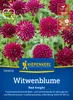 Kiepenkerl Witwenblumensamen Red Knight Knautia macedonica Produktbild-Vorschau 5