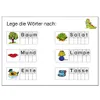 Komplettset „ABC-Drache“ Magnetbox Lesen inkl. Produktbild-Vorschau 6