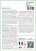 SAFLAX  - Bambou Moso - 20 graines - Avec substrat - Voir les images du produit 3