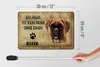 Blechschild Spruch 30x20cm Boxer Hund ohne kein Heim Produktbild-Vorschau 6