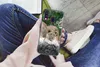 MuchoWow® Handyhülle Schutzhülle Hülle für Samsung Galaxy Produktbild-Vorschau 3