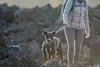 Ruffwear Front RangeTM Harness Twilight Gray L / XL Produktbild-Vorschau 10