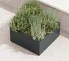 Herstera Garden Cube Low L flacher Outdoor Pflanzkasten Produktbild-Vorschau 8