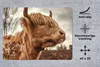 MuchoWow® Mauspad Mousepad Scottish Highlander - Strauch - Produktbild-Vorschau 2