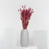 Lagurus Hasenschwanz Samtgras Trockenblumen 60-70cm DIY Produktbild-Vorschau 15