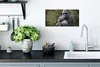MuchoWow® Poster Großer Gorilla schaut direkt in die Kamera Produktbild-Vorschau 3