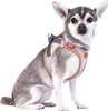 Curli Alpine curli Clasp Vest Geschirr Light Gray XS Produktbild-Vorschau 2
