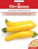 Dürr-Samen - Zucchini Gold Rush F1 - Saatgut - 0904 Produktbild-Vorschau 2