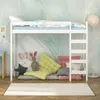 Kinder Hochbett 80x160 Lukas weiß, Höhe 180 cm mit Produktbild-Vorschau 6