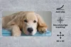 MuchoWow® Mauspad Mousepad Ein liegender Golden Retriever Produktbild-Vorschau 2