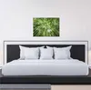 Leinwandbild Bäume Blätter 50 x 70 cm - Wandbild Wald Grün Produktbild-Vorschau 3
