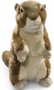 Carl Dick pluszowy świstak, ok. 40 cm 3545 Pluszowa Podgląd zdjęcia produktu 2