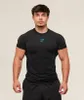 Gymshark Onyx 5.0 Seamless T-Shirt – Black / Onyx Grey | Produktbild-Vorschau 1