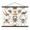 MuchoWow® Textilposter Retro - Spinne - Ernst Haeckel - Produktbild-Vorschau 1