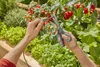 Solar-Bewässerung AquaBloom L Set, automatische Bewässerung Produktbild-Vorschau 8