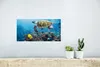 MuchoWow® Poster Schildkröte am Korallenriff 40x20 cm - Produktbild-Vorschau 5