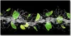 Tulup® Leinwandbild - 140x70 cm - Wandkunst - Drucke auf Produktbild-Vorschau 1