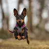 Non-stop dogwear Hundegeschirr Line Harness 5.0 lila Produktbild-Vorschau 2