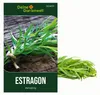 Estragon Mehrjährig Samen - Artemisia dracunculus - Produktbild-Vorschau 1