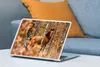 MuchoWow® Laptop Aufkleber Sticker Cover Pferd - Wald - Produktbild-Vorschau 4