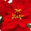 Close-up of a red poinsettia flower. Voir les images du produit