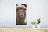 MuchoWow® Poster Löwe - Tier - Weiß 20x40 cm - Plakat - Produktbild-Vorschau 5