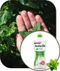 Ludwik Spülmittel mit Minzduft 450 ml Produktbild-Vorschau 7