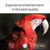 Android TV Stick GD1 4K HDR Streaming Player HDMI WLAN Box Náhled obrázku produktu 5