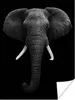 MuchoWow® Poster Elefant - Wildtiere - Schwarz - Weiß - Produktbild-Vorschau 1