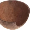 Terrario CocoCave L - cocco mezzo liscio Terrario Anteprima dell’immagine prodotto 7