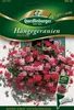 Quedlinburger Saatgut - Hänge-Geranien Mischung - Samen - Produktbild-Vorschau 1