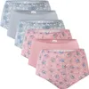 Celodoro Damen Taillenslip (6er Pack) Microfaser-Slip mit Produktbild-Vorschau 1
